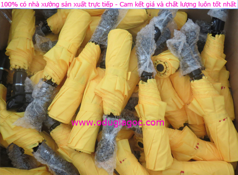 xếp dù
