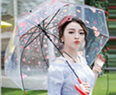 ô du việt mẫu mới 7